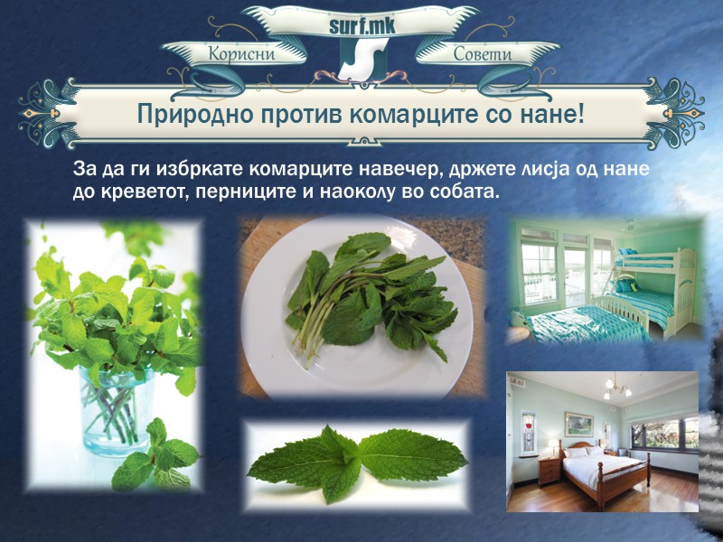 Природно со нане против комарците!